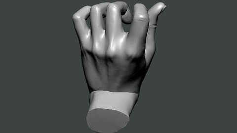 3D Model-HAND0017