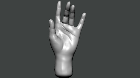 3D Model-HAND0019