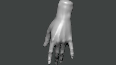 3D Model-HAND0022