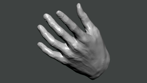3D Model-HAND0025