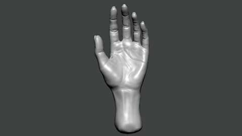 3D Model-HAND0026