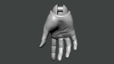 3D Model-HAND0028