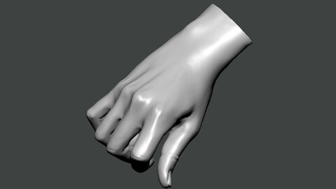 3D Model-HAND0030