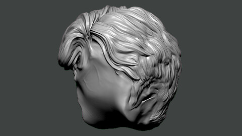 3D Model-HAIR0007