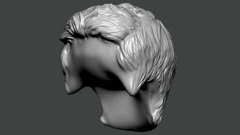 3D Model-HAIR0009