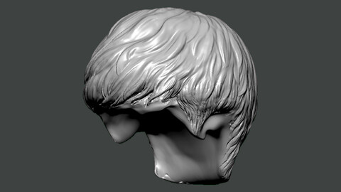 3D Model-HAIR0010