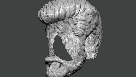 3D Model-HAIR0011