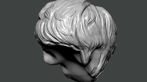 3D Model-HAIR0012