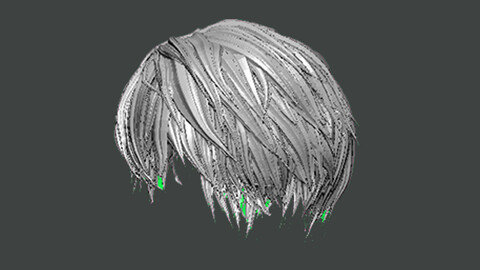 3D Model-HAIR0014