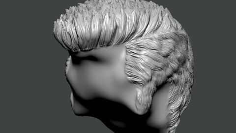 3D Model-HAIR0016