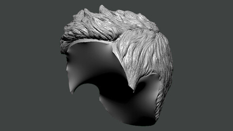 3D Model-HAIR0019