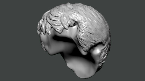3D Model-HAIR0033