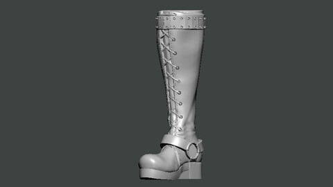 3D Model-SHOES0001