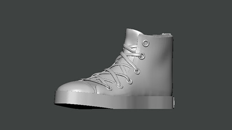 3D Model-SHOES0015