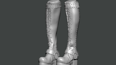 3D Model-SHOES0017