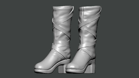 3D Model-SHOES0024
