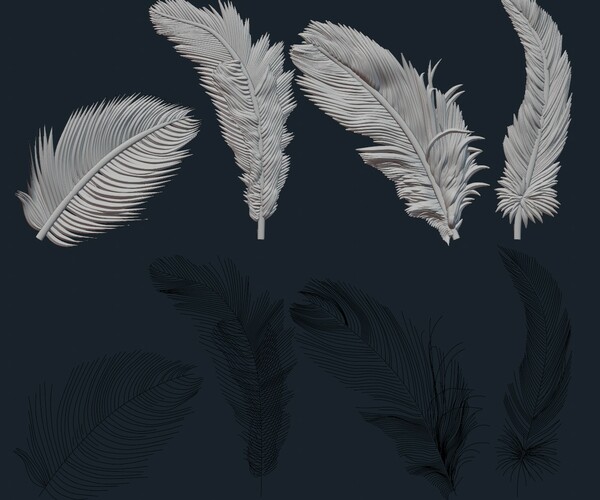 ArtStation - Free feather pack | Brushes