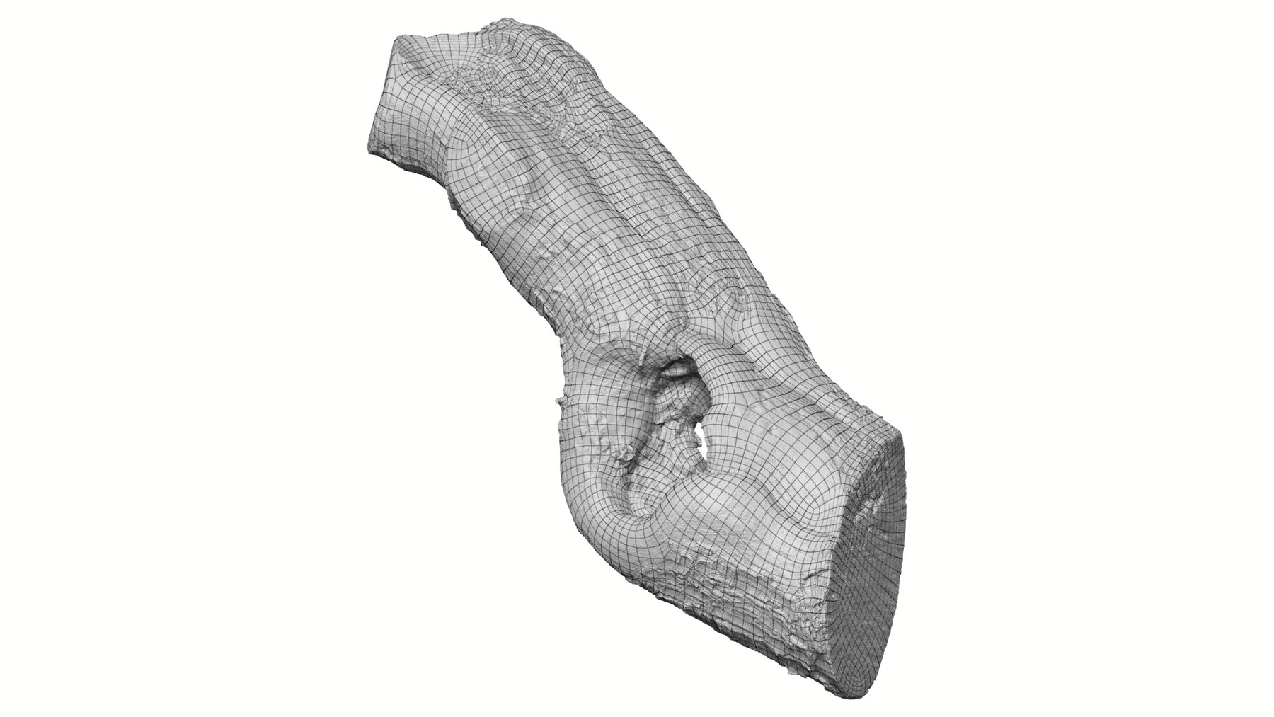 ArtStation - Old Branch Raw Scanned 3D Model | Resources