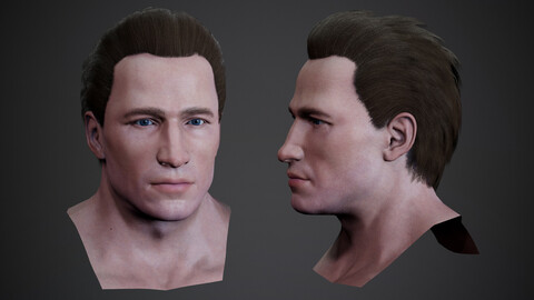 Male Head and Hair -1