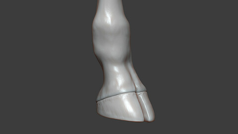 Giraffe Hoof Highpoly Sculpt