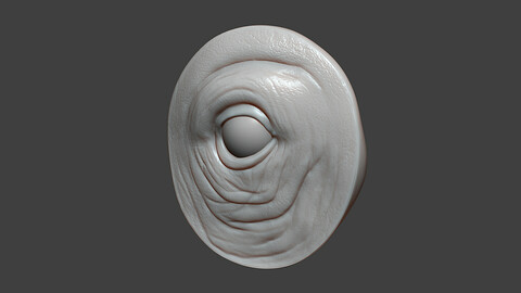Rhino Baby Eye Socket Highpoly Sculpt