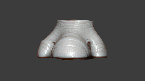 Rhino Baby Hoof Highpoly Sculpt