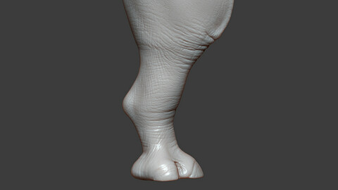 Rhino Baby Rear Leg Highpoly Sculpt