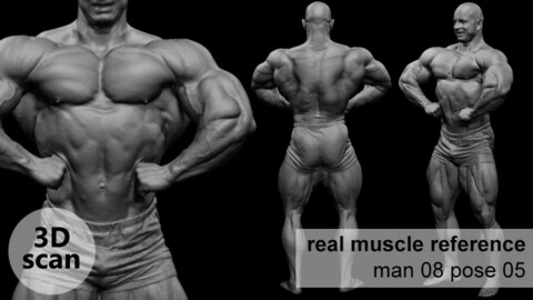 3D scan real extreme muscleanatomy Man08 pose 05