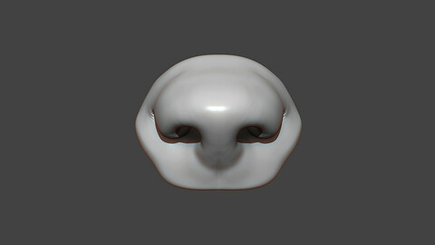 Dog Puppy Nose Highpoly Sculpt