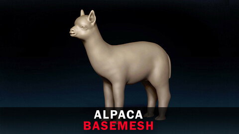 Alpaca Base Mesh 3D Model