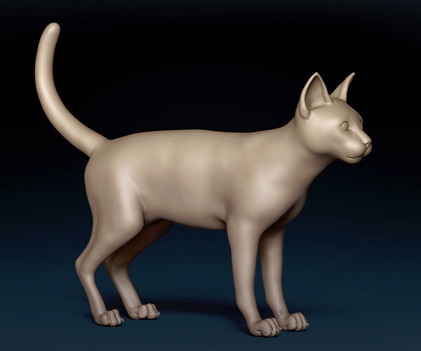 ArtStation - Abyssinian Cat Base Mesh 3D Model | Resources