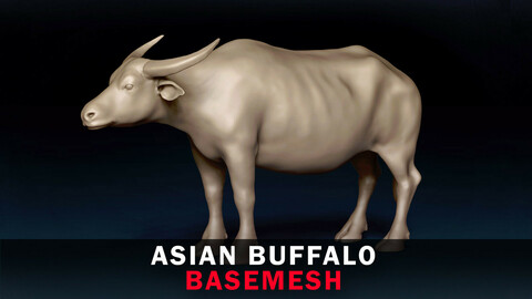 Asian Buffalo Base Mesh 3D Model