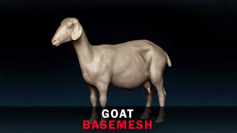 Goat Base Mesh 3D Model