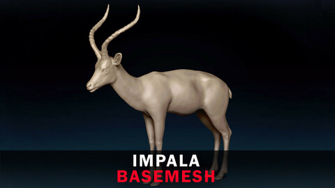 Impala Base Mesh 3D Model