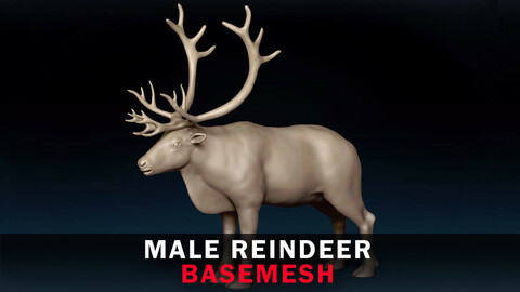 Male ReinDeer Base Mesh 3D Model