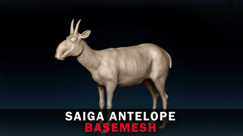 Saiga Antelope Base Mesh 3D Model