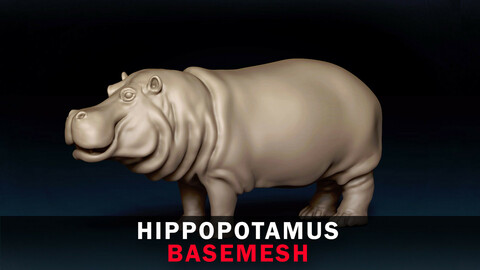 Hippopotamus Base Mesh 3D Model