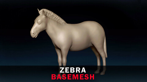 Zebra Base Mesh 3D Model