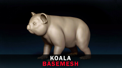 Koala Base Mesh 3D Model