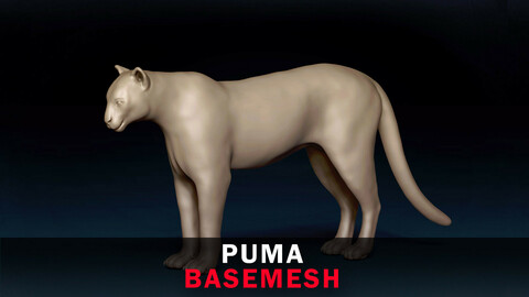 Puma Base Mesh 3D Model