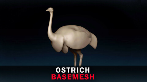 Ostrich Base Mesh 3D Model