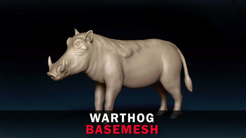 Warthog Base Mesh 3D Model
