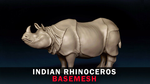 Indian Rhinoceros Base Mesh 3D Model