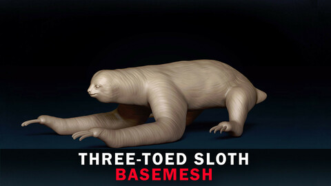 Three Toed Sloth Base Mesh 3D Model