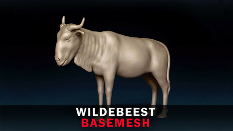 Wildebeest Base Mesh 3D Model