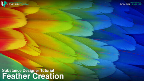 Feather Creation | Romain Lemaire