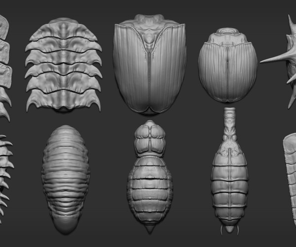 alpha insect zbrush