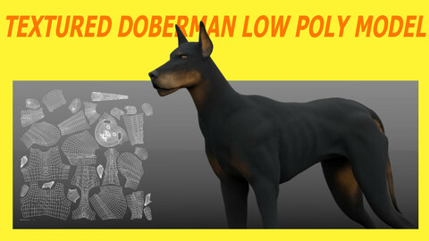 TEXTURED DOBERMAN LOW POLY MODEL