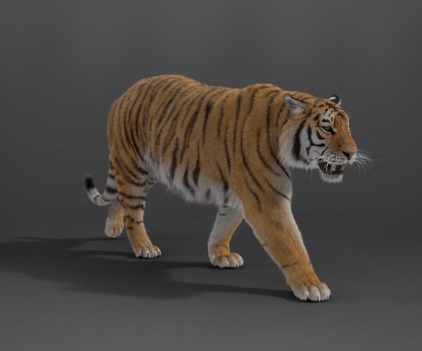 product thumbnail 8