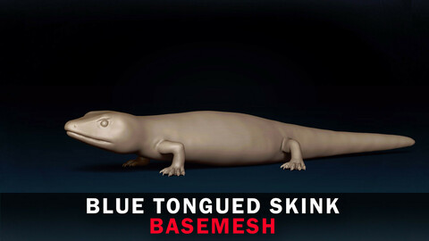 Blue Tongued Base Mesh 3D Model
